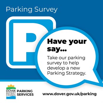 parkingsurvey1